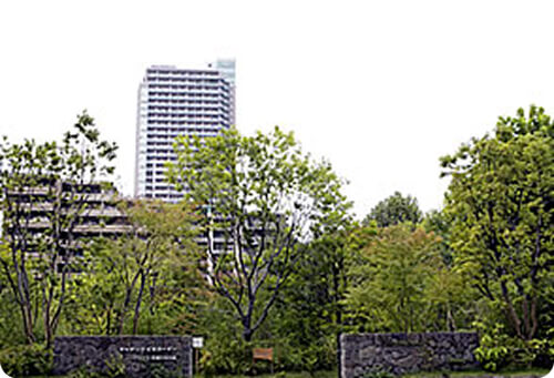 フジクラ 木場千年の森