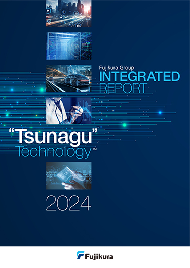 Integrated Report 2024